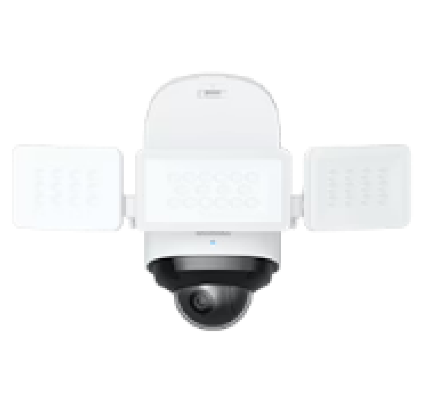 IP Cameras