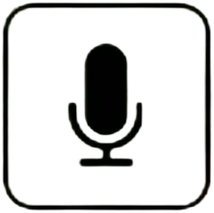 Two Way Audio